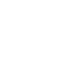 gavel