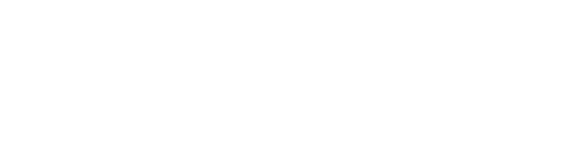 beVisioneers